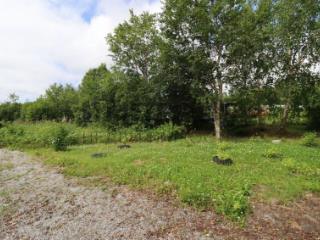 1-этажный дом, 55 м², 20 соток