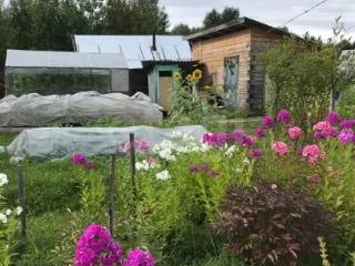  дом, 42.3 м², 10 соток