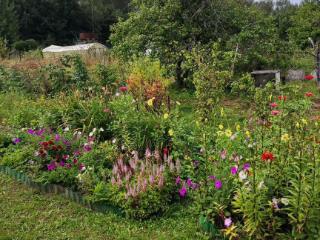  коттедж, 45.8 м², 11 соток