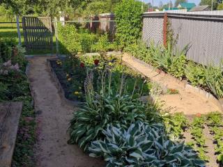  дом, 54 м², 25 соток