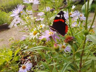 2-этажный дом, 61.5 м², 10.51 соток