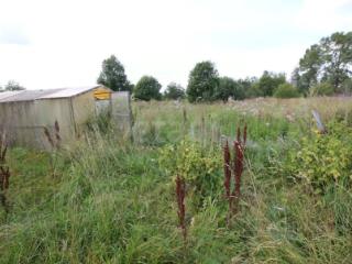 1-этажный дом, 46.5 м², 16.97 соток