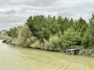 1-этажный дом, 130 м², 6 соток