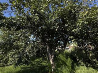 2-этажный дом, 104.4 м², 8.2 соток