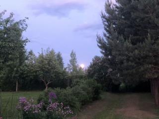  дом, 175.2 м², 100 соток