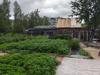  дом, 38.5 м², 15.5 соток