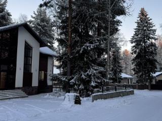  дом, 261 м², 11 соток