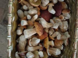 1-этажный дом, 280 м², 12 соток