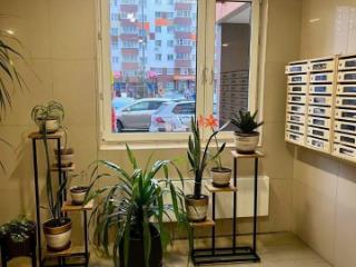 1-комн. квартира, 36 м², 17/17 этаж