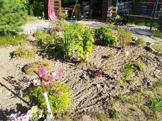 Продается земля, 10 соток