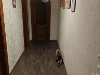 5-комн. квартира, 117.4 м², 5/5 этаж