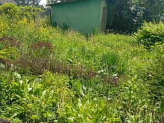 1-этажный дом, 76.3 м², 23 сотки