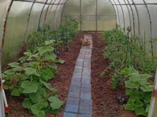 2-этажный дом, 67.5 м², 4 сотки