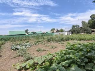 1-этажный дом, 95.2 м², 20.2 соток