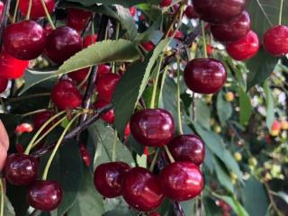  коттедж, 30 м², 6 соток