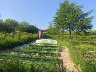 1-этажный дом, 31 м², 6 соток