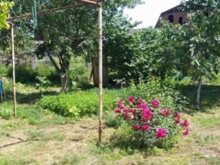 1-этажный дом, 16 м², 10 соток