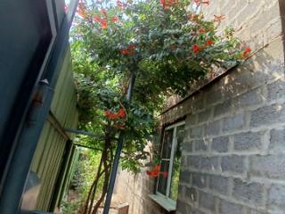 2-этажный дом, 135.8 м², 6 соток