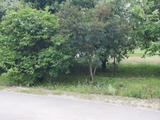 2-этажный коттедж, 200 м², 15.5 соток