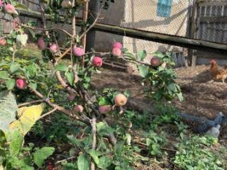 2-этажный дом, 140 м², 12 соток