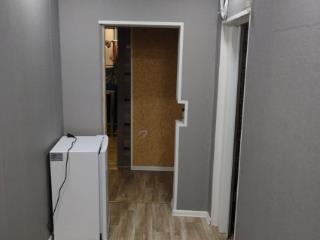 2-комн. квартира, 54.9 м², 1/1 этаж