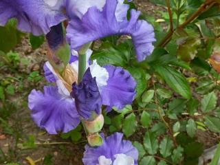 1-этажный дом, 56.4 м², 8.5 соток