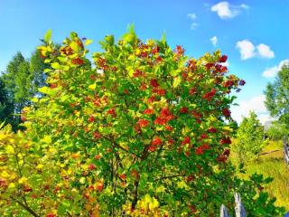 1-этажный дом, 32.2 м², 30.3 соток