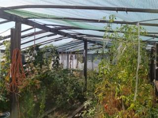 1-этажный дом, 93.4 м², 11 соток