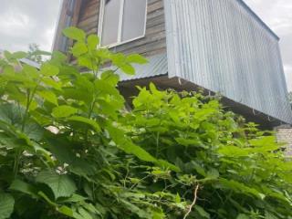 2-этажный дом, 100 м², 4.2 сотки