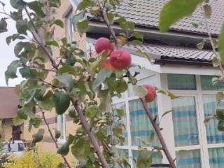 2-этажный коттедж, 125 м², 7.7 соток