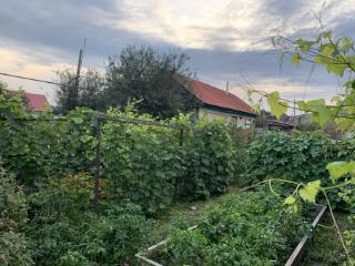 1-этажный дом, 60.1 м², 8 соток