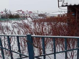 1-этажный дом, 24.2 м², 10.6 соток