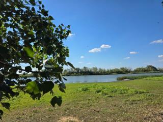 1-этажный дом, 223 м², 14 соток