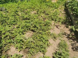  коттедж, 25 м², 4 сотки