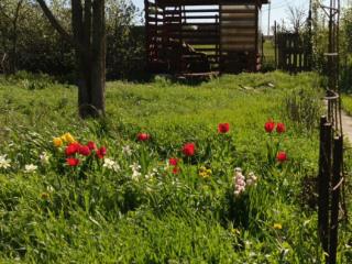  коттедж, 30 м², 6 соток