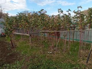  дом, 60 м², 25 соток