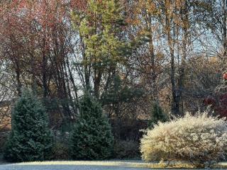  дом, 175.2 м², 100 соток