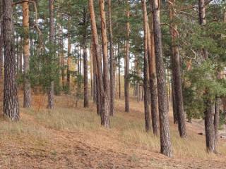 1-этажный дом, 280 м², 12 соток