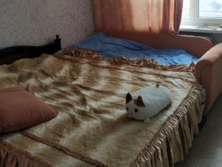 2-комн. квартира, 50.8 м², 2/3 этаж