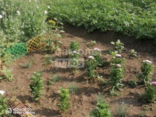 1-этажный дом, 120 м², 8 соток