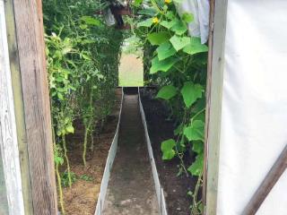  коттедж, 45.8 м², 11 соток