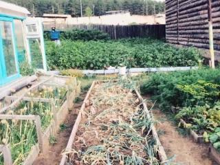  дом, 206 м², 11 соток