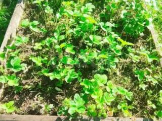 1-этажный дом, 27 м², 6 соток