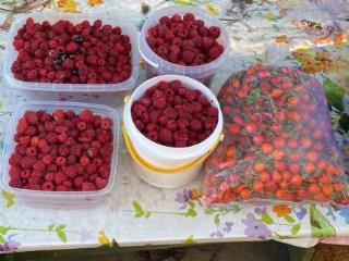  дом, 38 м², 7 соток