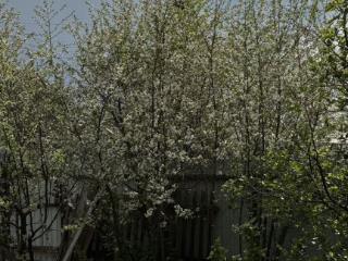  дом, 71.6 м², 7.8 соток