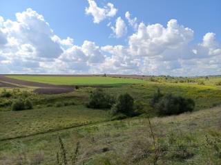 1-этажный дом, 45 м², 16.5 соток