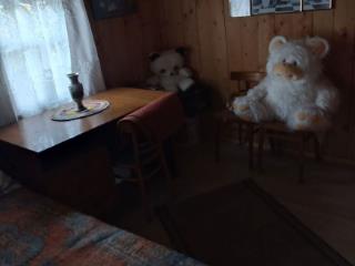  коттедж, 10 м², 11 соток