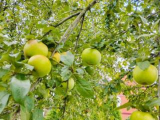 2-этажный коттедж, 160 м², 18.2 соток