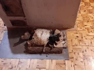  коттедж, 40 м², 16 соток