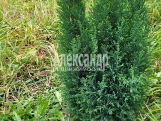 1-этажный дом, 87 м², 15 соток